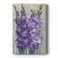 Glaïeuls en fleurs II - Cavas enveloppés de galerie-472353720