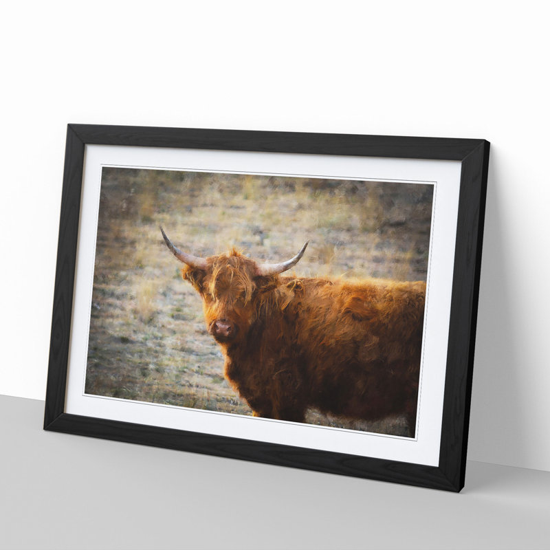 Highland Bull Cow Vol.2 - Framed Print, Black Framed, 36cm H x 48cm W x 2cm D