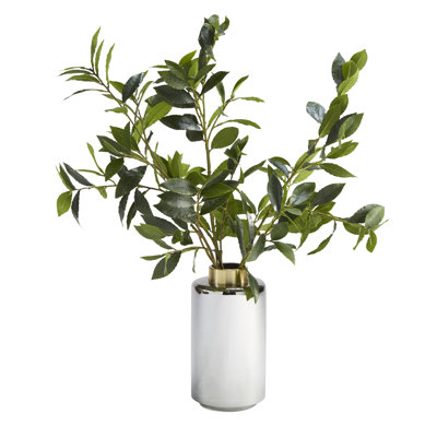 Branches de laurier dans un vase en verre fumé