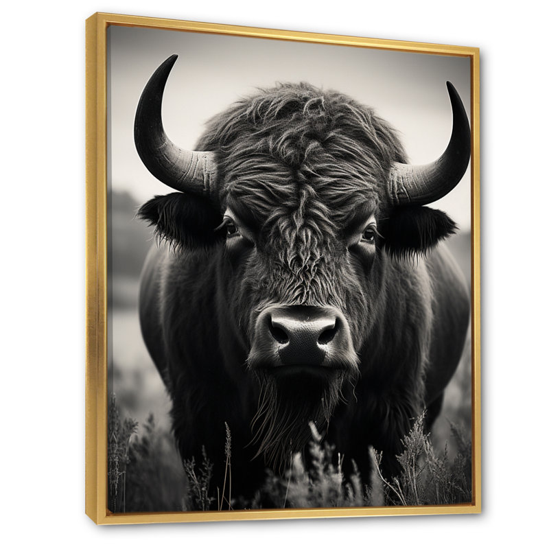 Bison Bison Grazing - Bison Wall Art, Cadre flottant doré, H 44 po x l 34 po x P 1,5 po