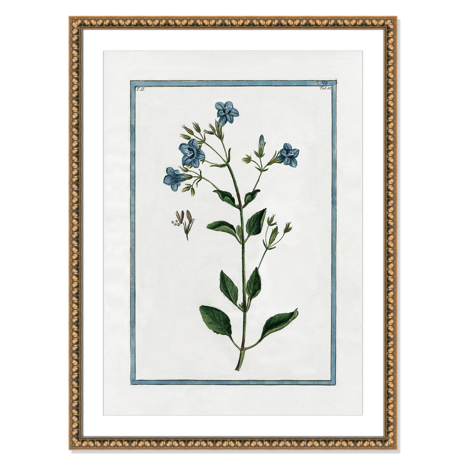 Shabby Elegance Botanical II - Framed Art, Gold Bead Framed, 26.5" W x 36.5" H