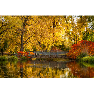 Wildomar Fall Colours In Park - Wrapped Canvas Print