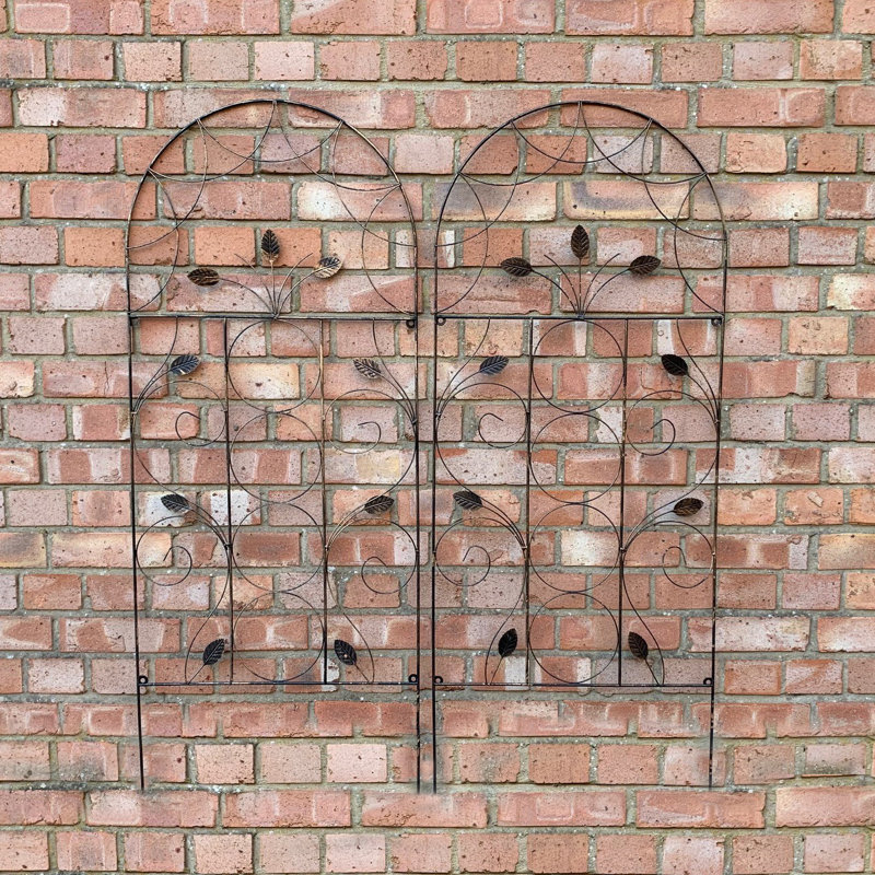 Lifthrasir 120cm H x 50cm W Metal Arched Trellis