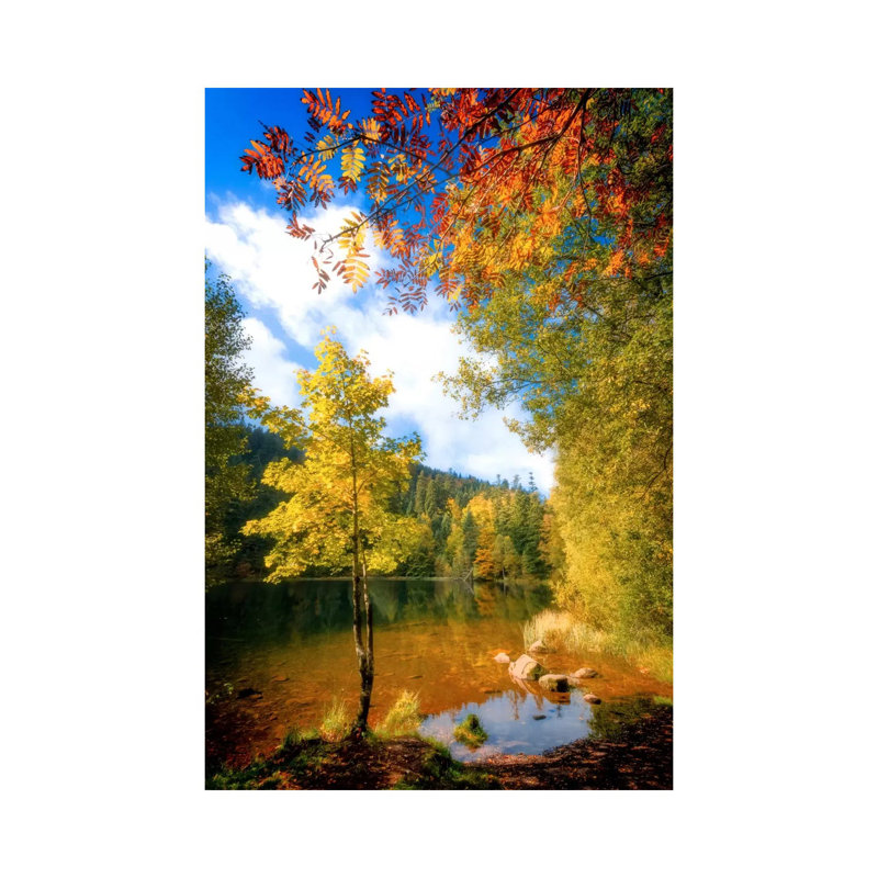 Fall Framing by Philippe Sainte-Laudy - Print on Canvas, 66.04 cm H x 45.72 cm W x 1.91 cm D, Wrapped Canvas