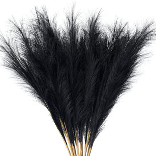 Tall Fluffy Black Pampas Grass – Stix & Stems