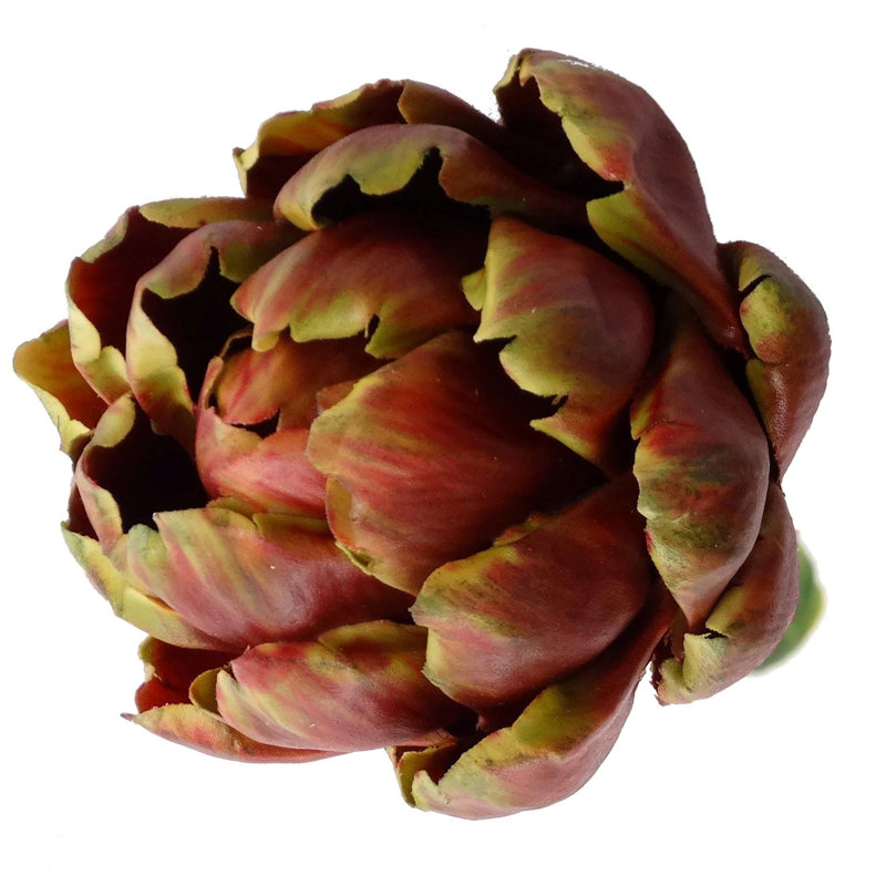 Tige de plante grasse, 1, Bourgogne