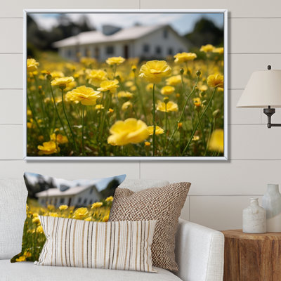 " Yellow Buttercups At The Farm II "