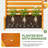 34" W X 45" H Outdoor Privacy Screen With Planter Box, 3-Piece Wood Fence Screen for Air Conditioner and Trash Can Cover