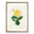 Oak Framed selected