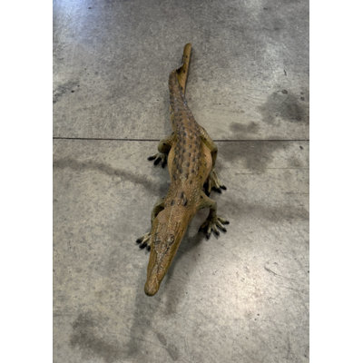Statue de bébé crocodile qui marche