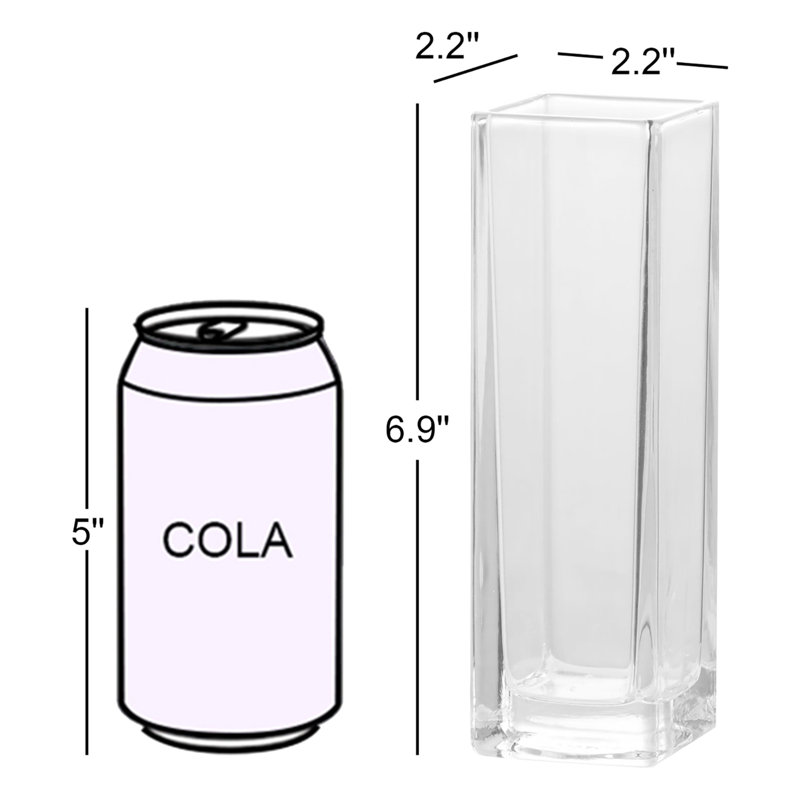 Vase Barrar 2 "- Transparent