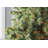 50.5' 100-Light String Lights-31889550