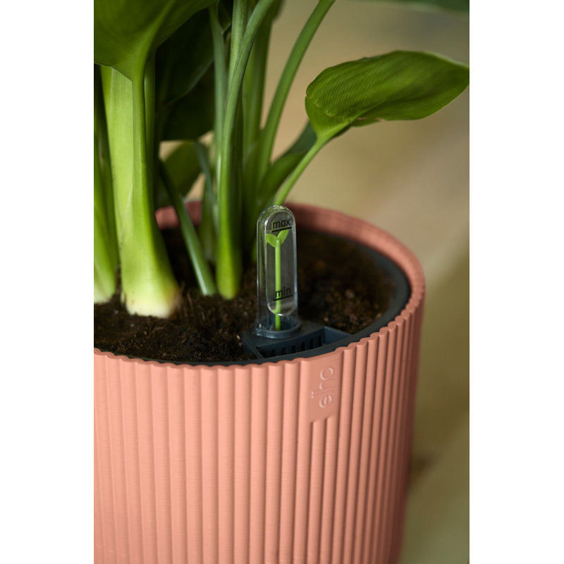 Pot Planter, Delicate Pink, 27.2cm H x 29.5cm W x 29.5cm D