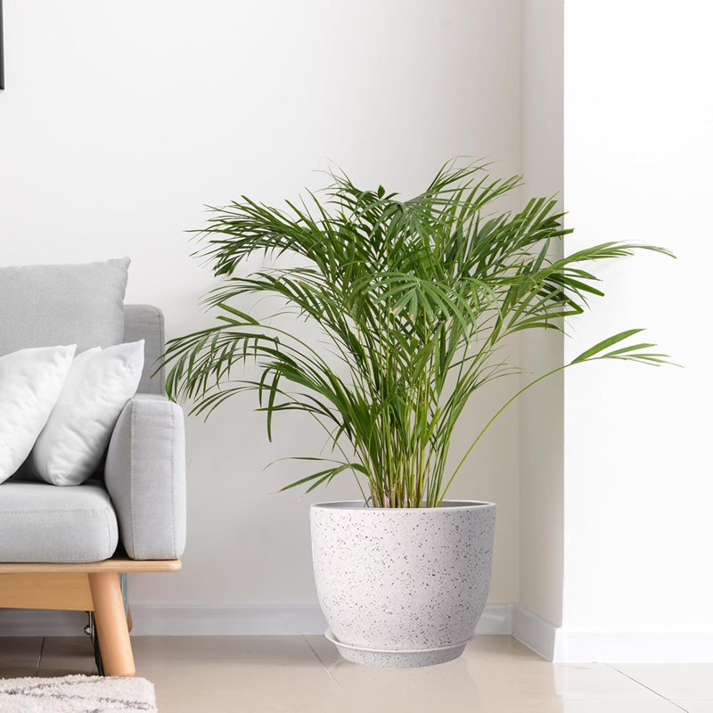Ensemble de 3 pots à plantes en plastique
