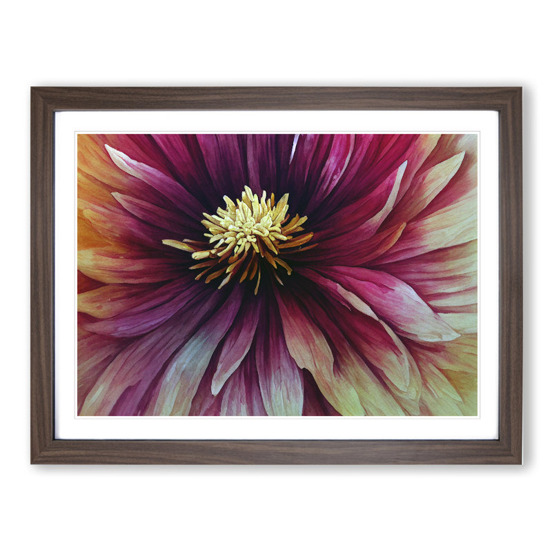 Watercolour Chrysanthemum Flower Vol.2 - Single Picture Frame Print, 25cm H x 34cm W x 2cm D, Walnut