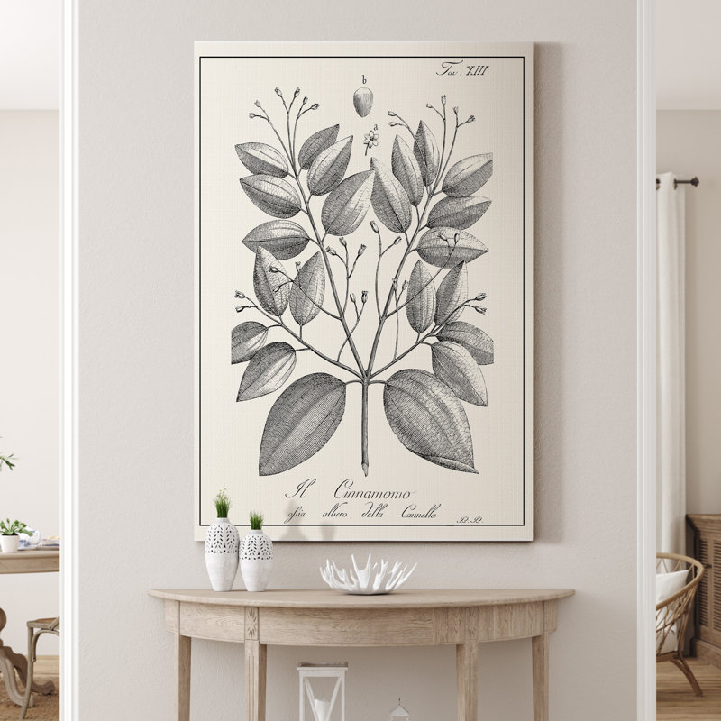 «Antique Black and White Botanical», reproduction d'art sur toile tendue, H 12 po x l 8 po x P 1 po