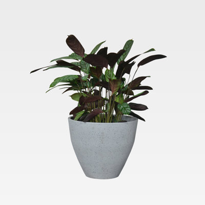 Pot à fleurs en plastique