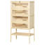 Cage à hamster en bois à 5 niveaux Pawhut