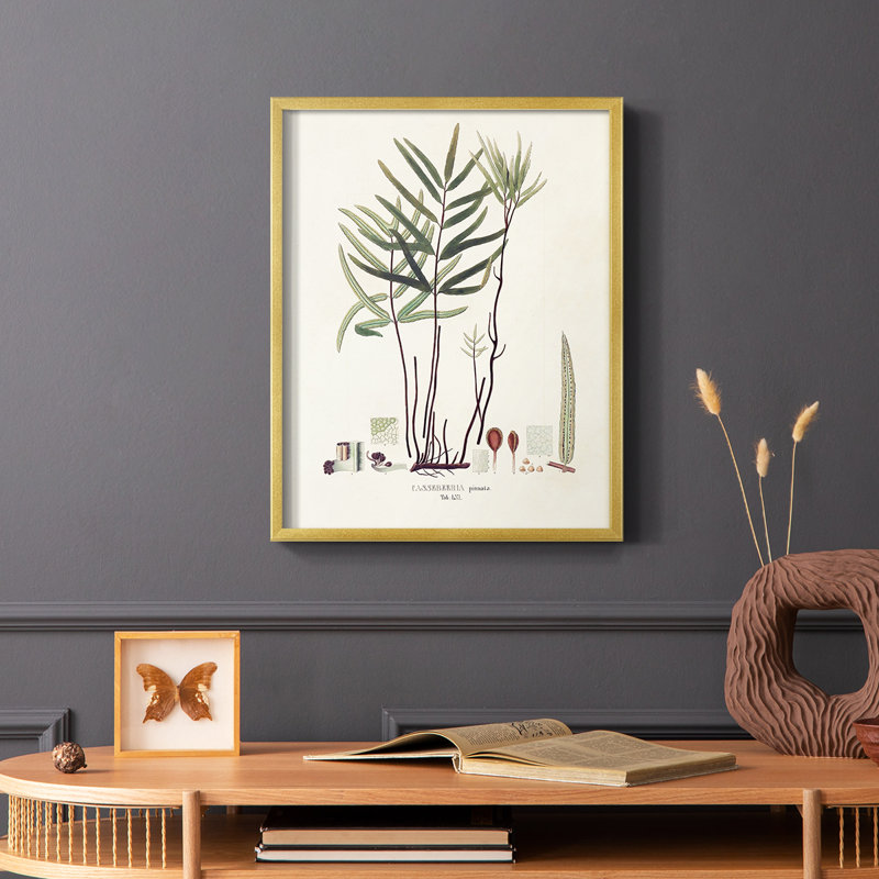 «Botanical Society Ferns X», reproduction encadrée - bois massif, H 20 po x l 16 po