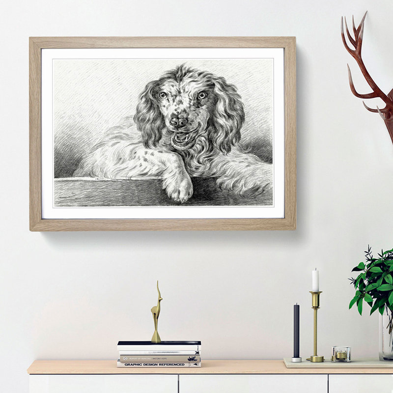 Springer Spaniel Dog by Jean Bernard - Picture Frame Drawing Print, 48cm H x 65cm W x 2cm D, Oak Framed