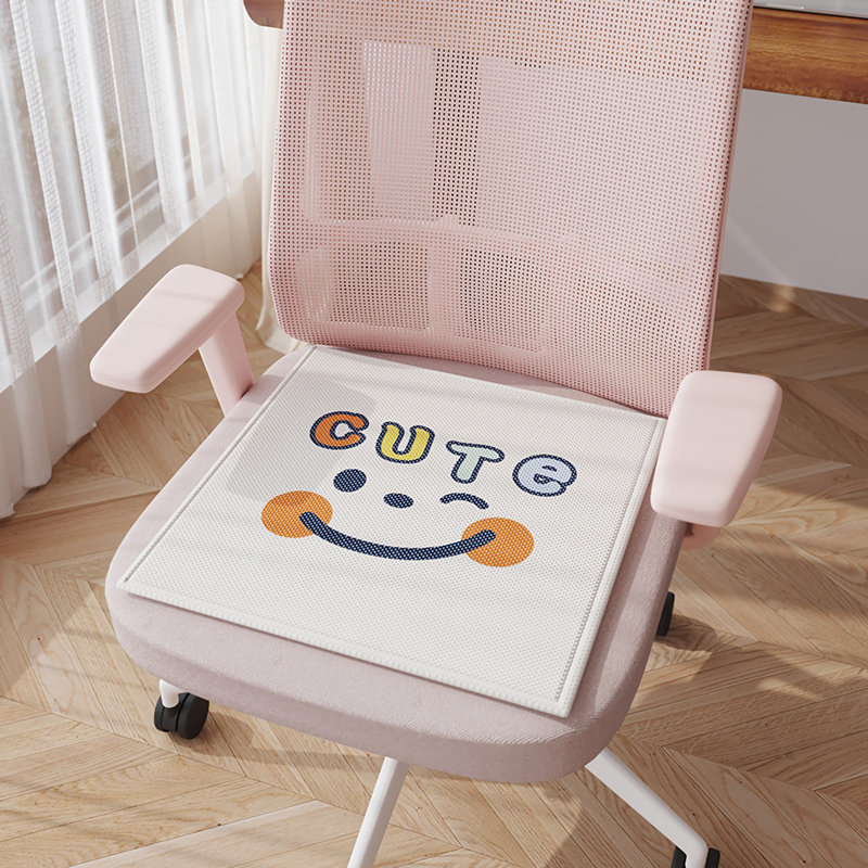Coussin de chaise