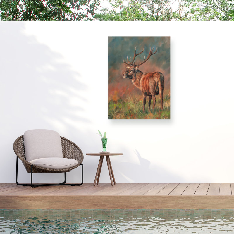 Toile d'extérieur David Stribble Red Deer Stag 1620, H 24 po x l 32 po