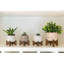 Plante eucalyptus artificielle 4" dans un pot de fleurs