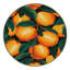  Tapis lavable Loquat-1443448184