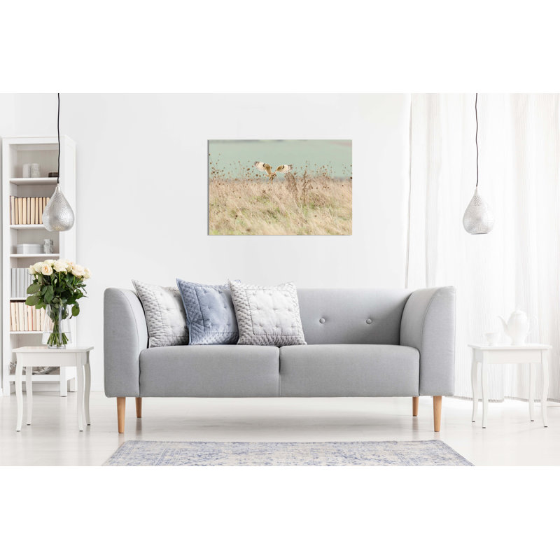 Brown And Black Short Eared Owl In Wildlife Artistic - Wrapped Canvas Art Prints, 46cm H x 31cm W