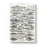 Study Of Fish XLVH by Oliver Goldsmith - Wrapped Canvas-55340970
