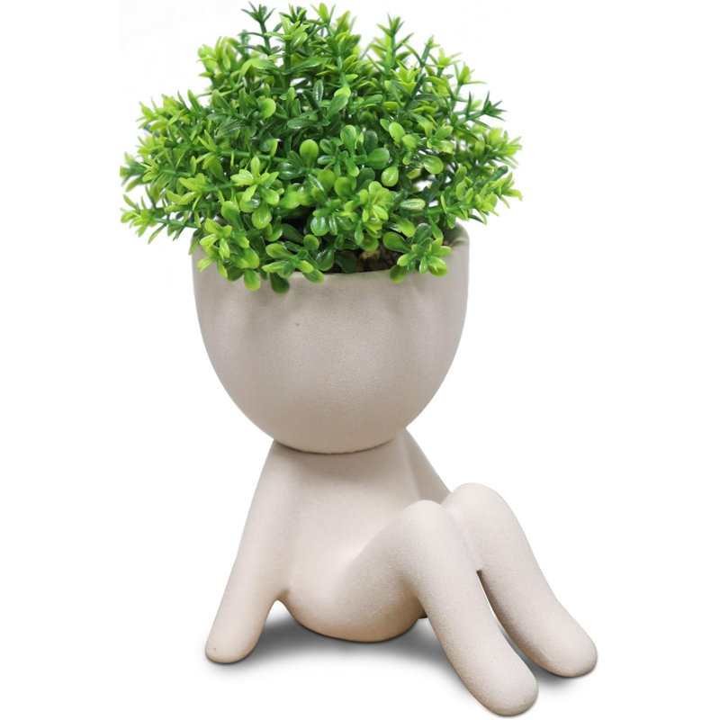 Plantes succulentes artificielles pour salle de bain