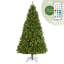 Green Spruce Christmas Tree with LED Lights-154549372