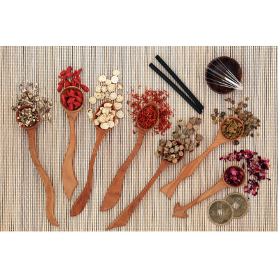Chinese Herbal Therapy - Wrapped Canvas Print