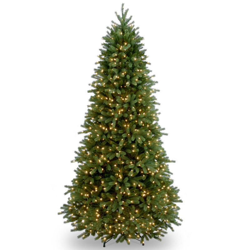 The Holiday Aisle® Jersey Fraser Fir Tree with Clear Lights, 6'5"