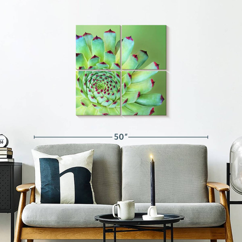 Exotic Succulent, 26" H x 26" W