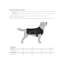Breakwater Bay Dog Robe-559158228