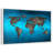 Ocean World Luro-585129031-585129028