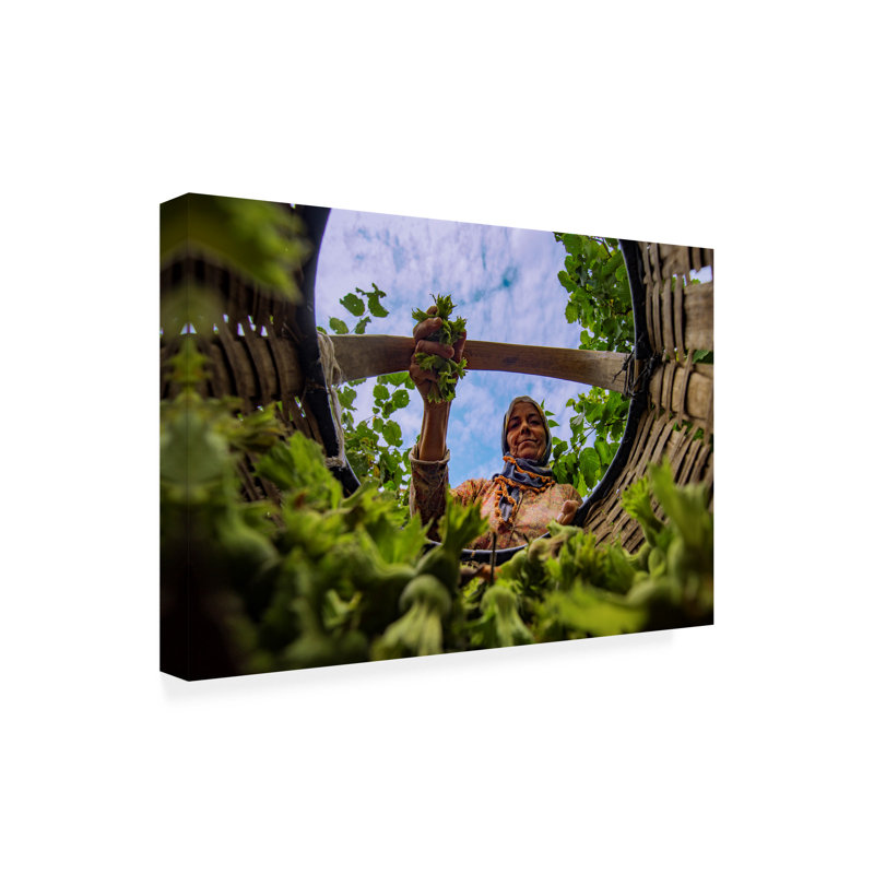 Art sur toile noisette de Suleyman, H 16 po x l 24 po