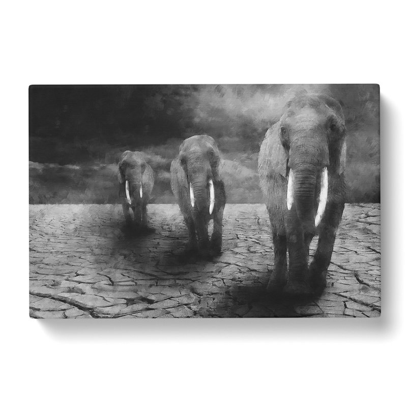 Three Elephants - Wrapped Canvas Print, 40cm H x 60cm W x 3cm D