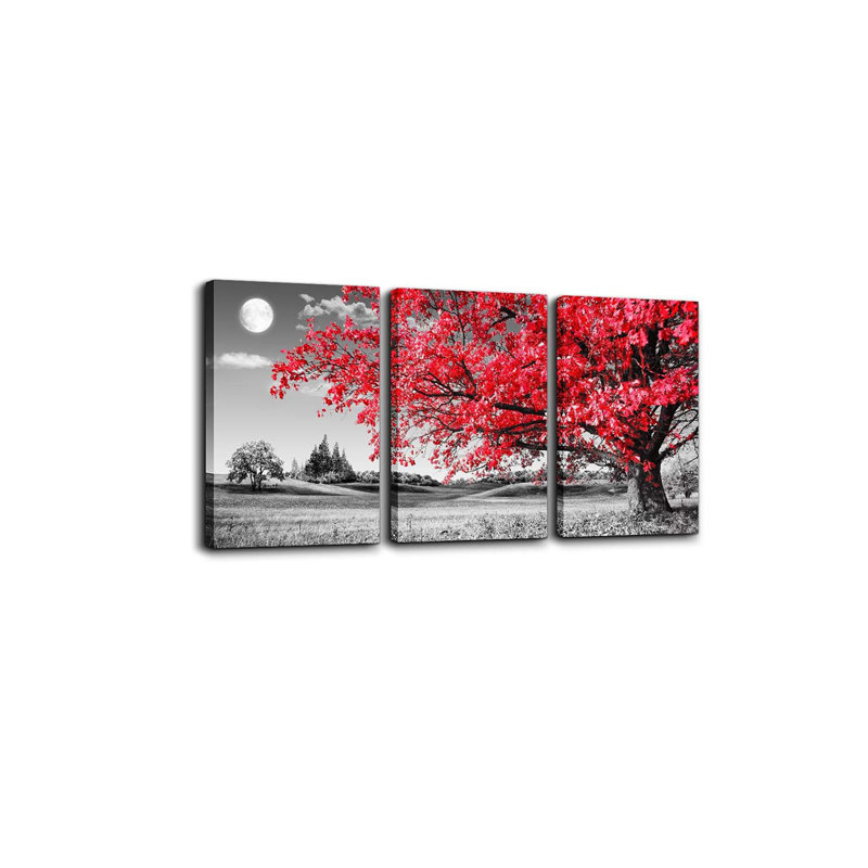 3 Piece Wrapped Canvas Set