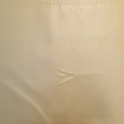 Tissu de colon