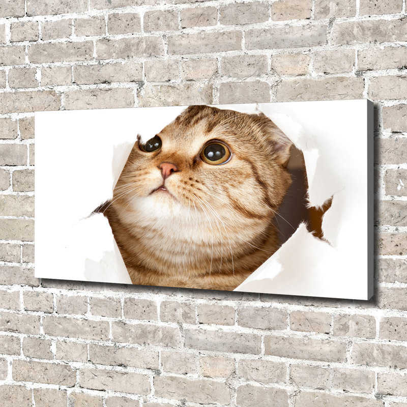 Cat - Wrapped Canvas Print