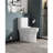 White Ceramic 1.1/1.6 Toilet, Elongated, Comfortable Height, & Mode 1.1 And 1.6 , Ceramic, White,