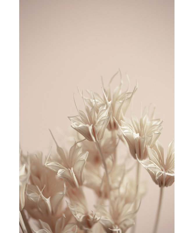 Wrapped Canvas Print, 91.44 cm H x 60.96 cm W