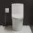 Hugo One-Piece Elongated Toilet Dual-Flush 1.1/1.6 gpf, Touchless