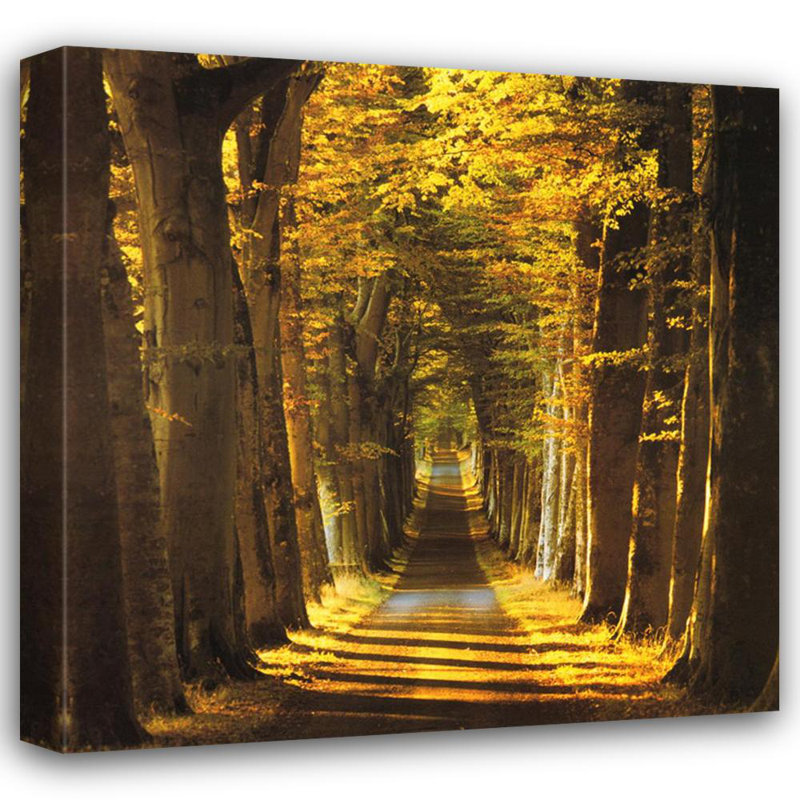 Tree Lined Avenue, 20" H x 20" W