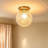 1 - Light Glass Globe Flush Mount Ceiling Light