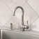 Anabelle Single Handle Kitchen Faucet with Side Spray