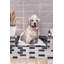 Perfect Bubble Bath - Wrapped Canvas Painting-1506296494