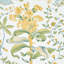 Pomegranate Botanical Wallpaper-55967354